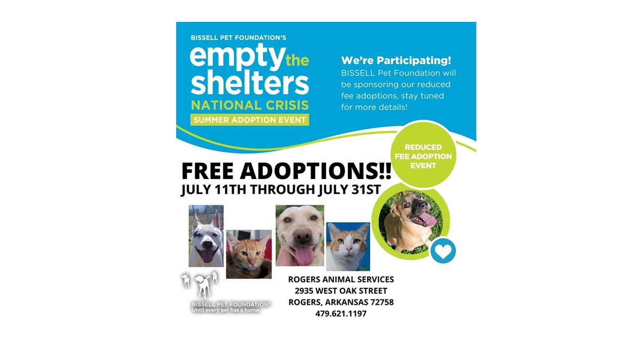 KNWA Today: Adoption fees waived at Rogers Animal Shelter – KNWA