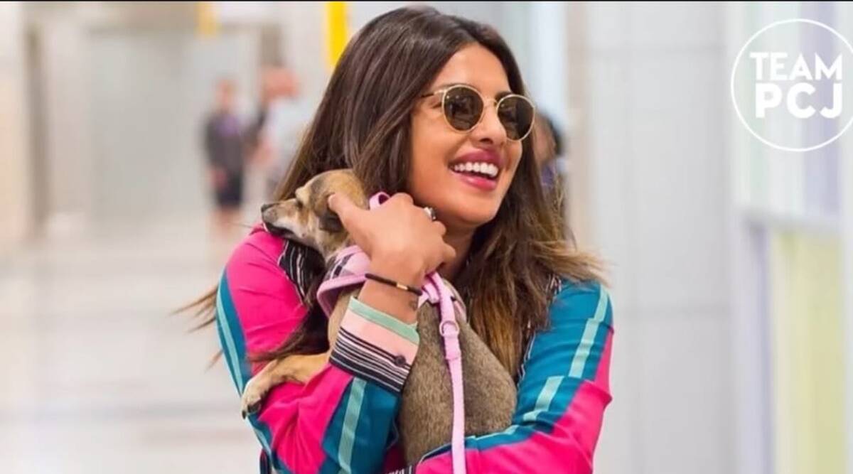 On Priyanka Chopra's birthday, a look at the times she proved to be the ultimate dog mom – The Indian Express