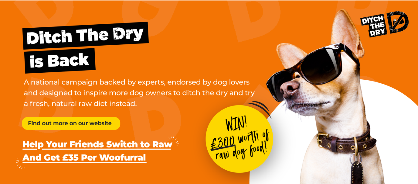 ProDog Raw launch their annual ‘Ditch the Dry’ campaign to convince dog owners raw is right. – Essex Magazine