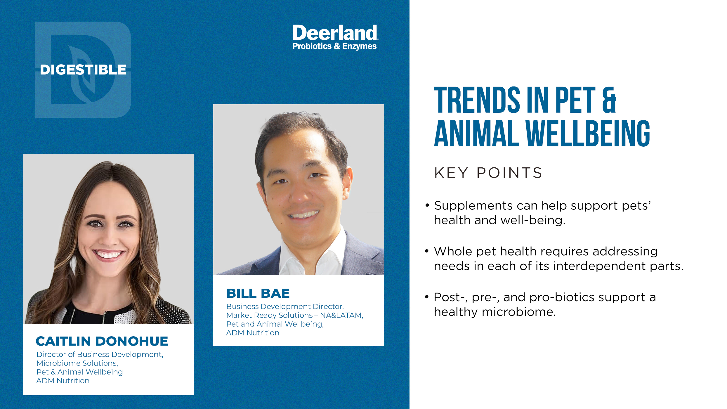 Trends in Pet and Animal Wellbeing – MarketScale