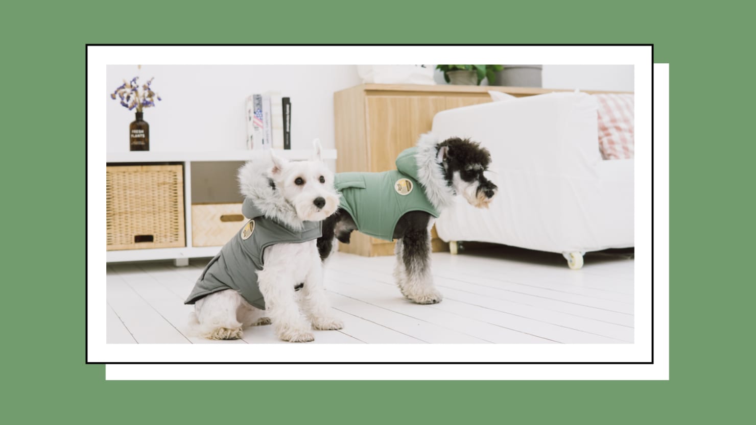 Outfit Your Pup for the Winter Months During Pet Life's Pre-Fall Sale – The Daily Beast