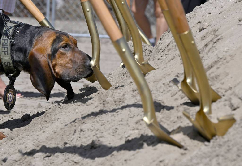 Rancho Cucamonga digs in on dog park construction – Inland Valley Daily Bulletin