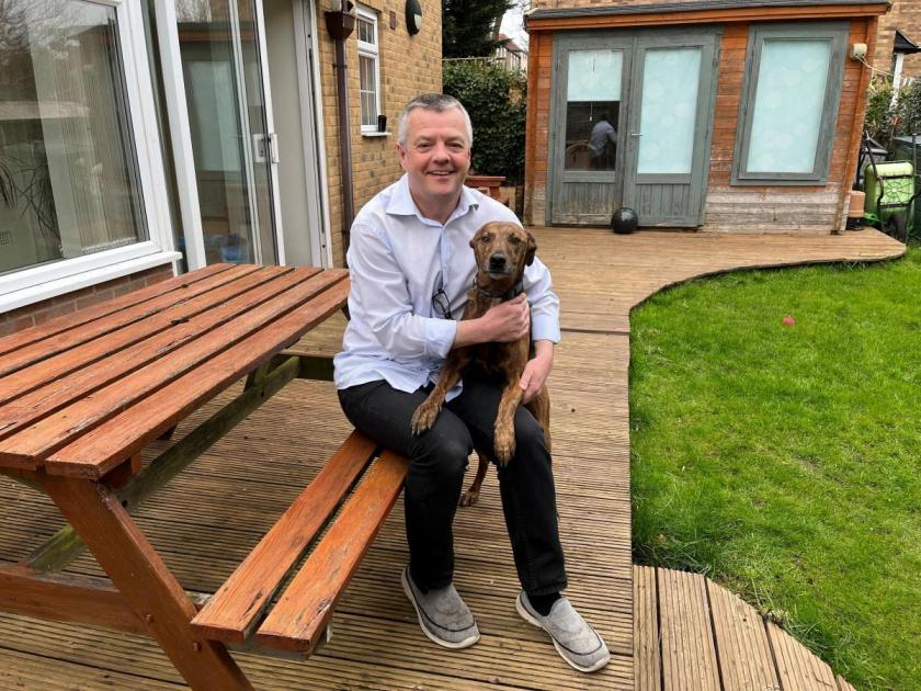 'Things my dog has taught me': The hound is not a follower of fashion – Somerset County Gazette