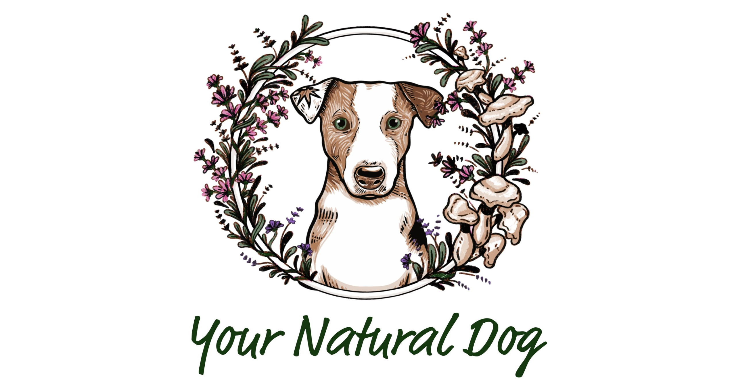 YOUR NATURAL DOG OFFERS FREE HOLISTIC PET WELLNESS EVENT – Online! – PR Newswire