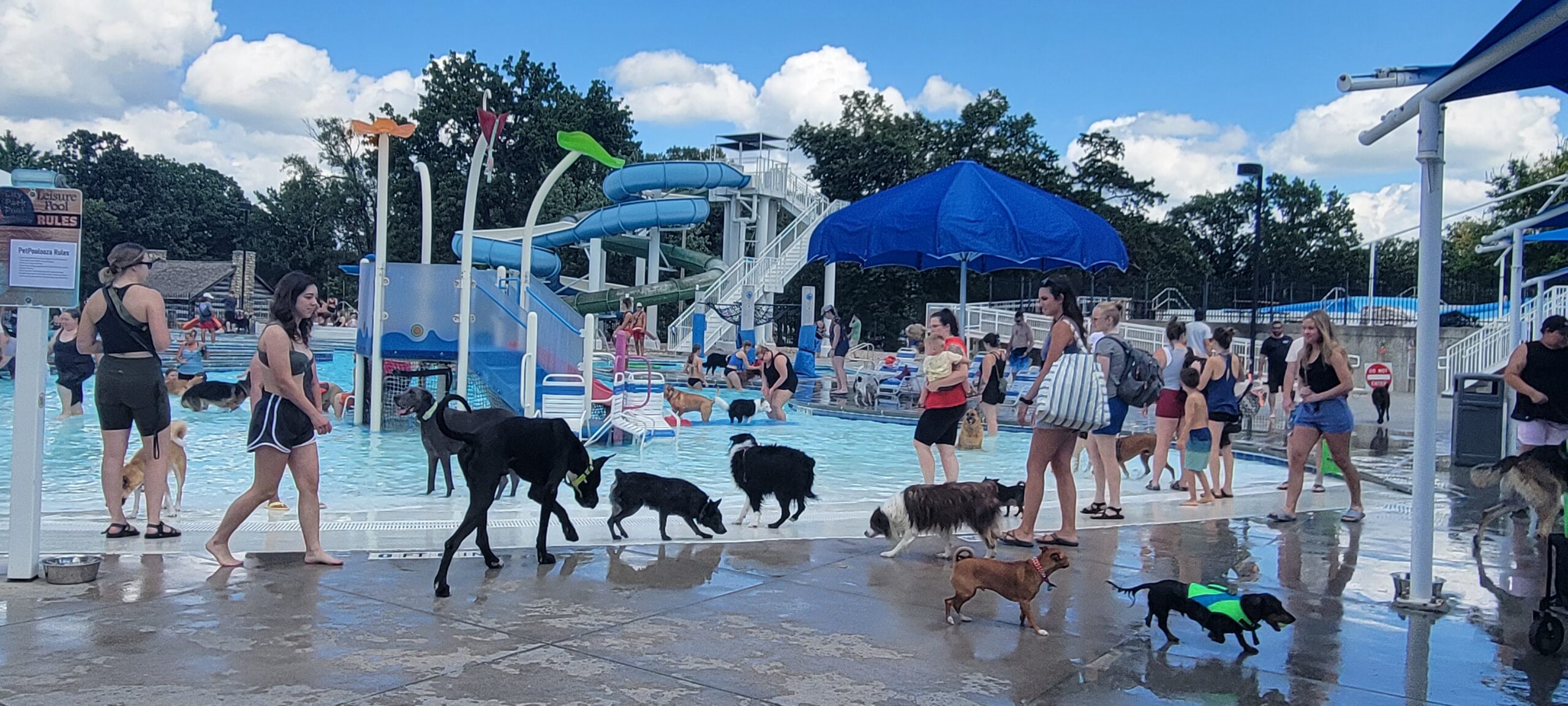 Pawsitively great day at City Water Park for 2022 Pet Poolooza – News Radio KMAN