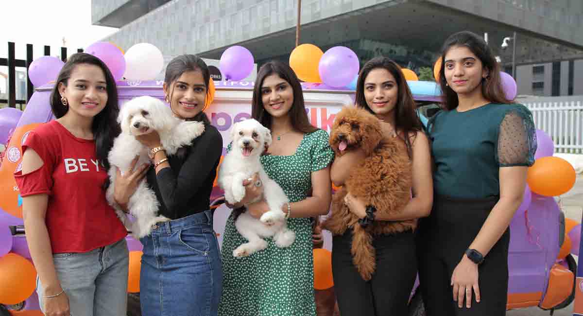 Hyderabad: Petfolk unveils 'pet van' to create awareness about issues concerning pets – Telangana Today