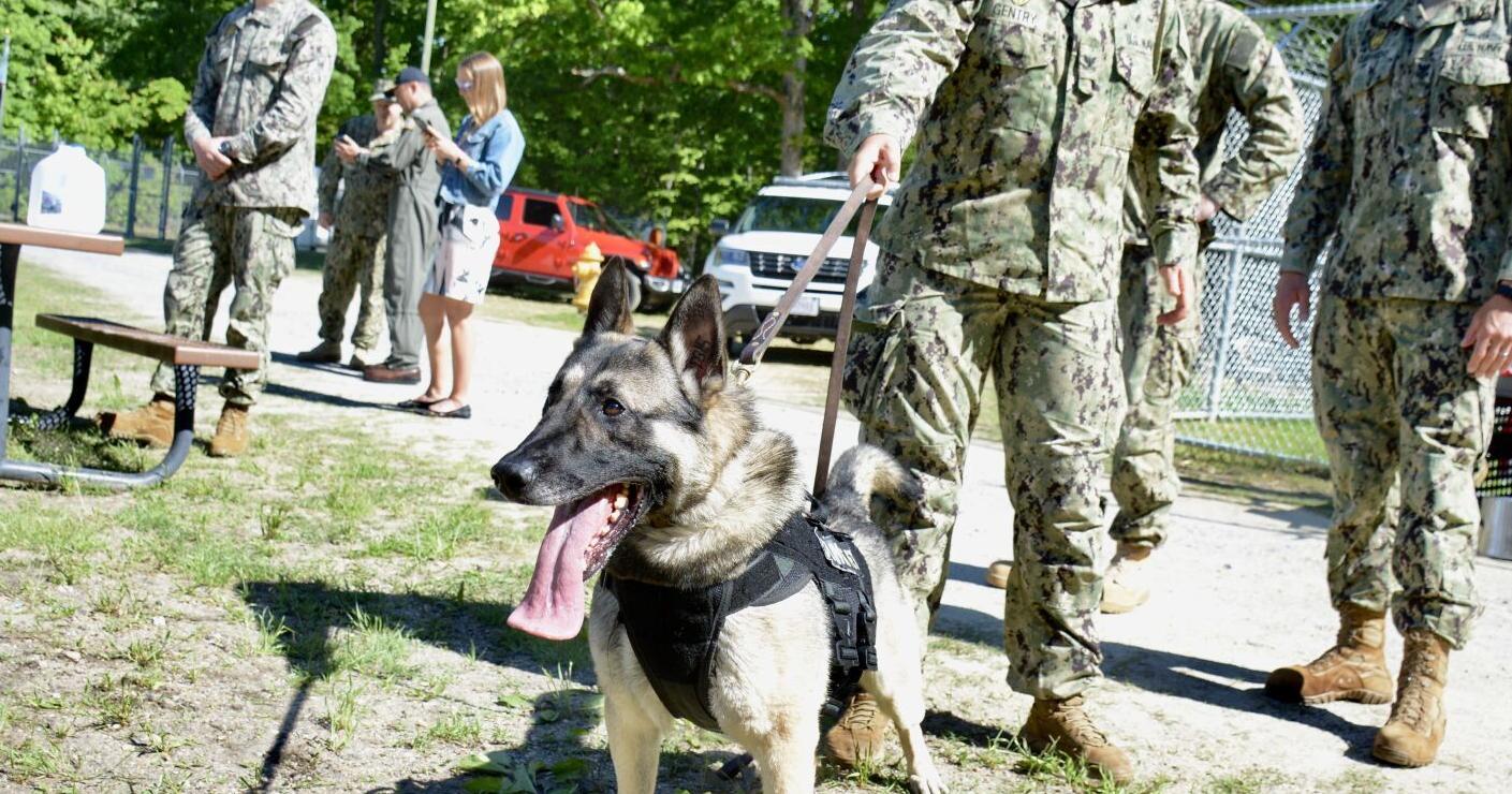 Pax River security opens military working dog kennel on base – DC Military