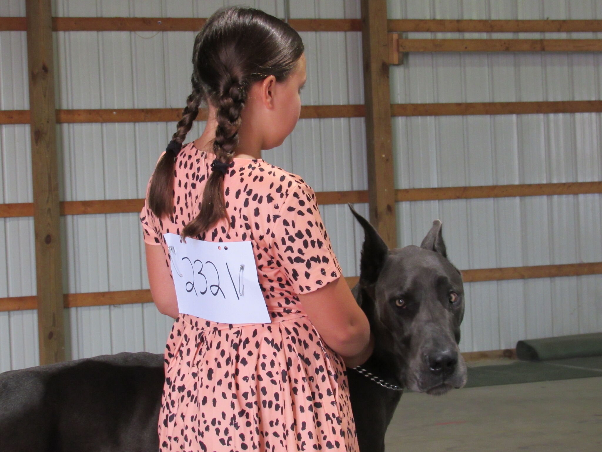 MIDLAND COUNTY FAIR: Results from Sunday 4-H competitions – Midland Daily News