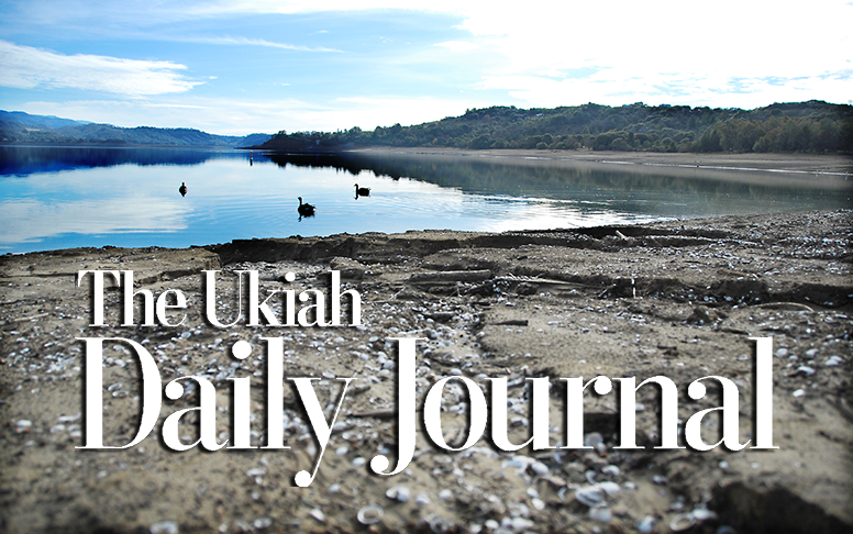 Assignment: Ukiah-Dog’s last will and testament – Ukiah Daily Journal