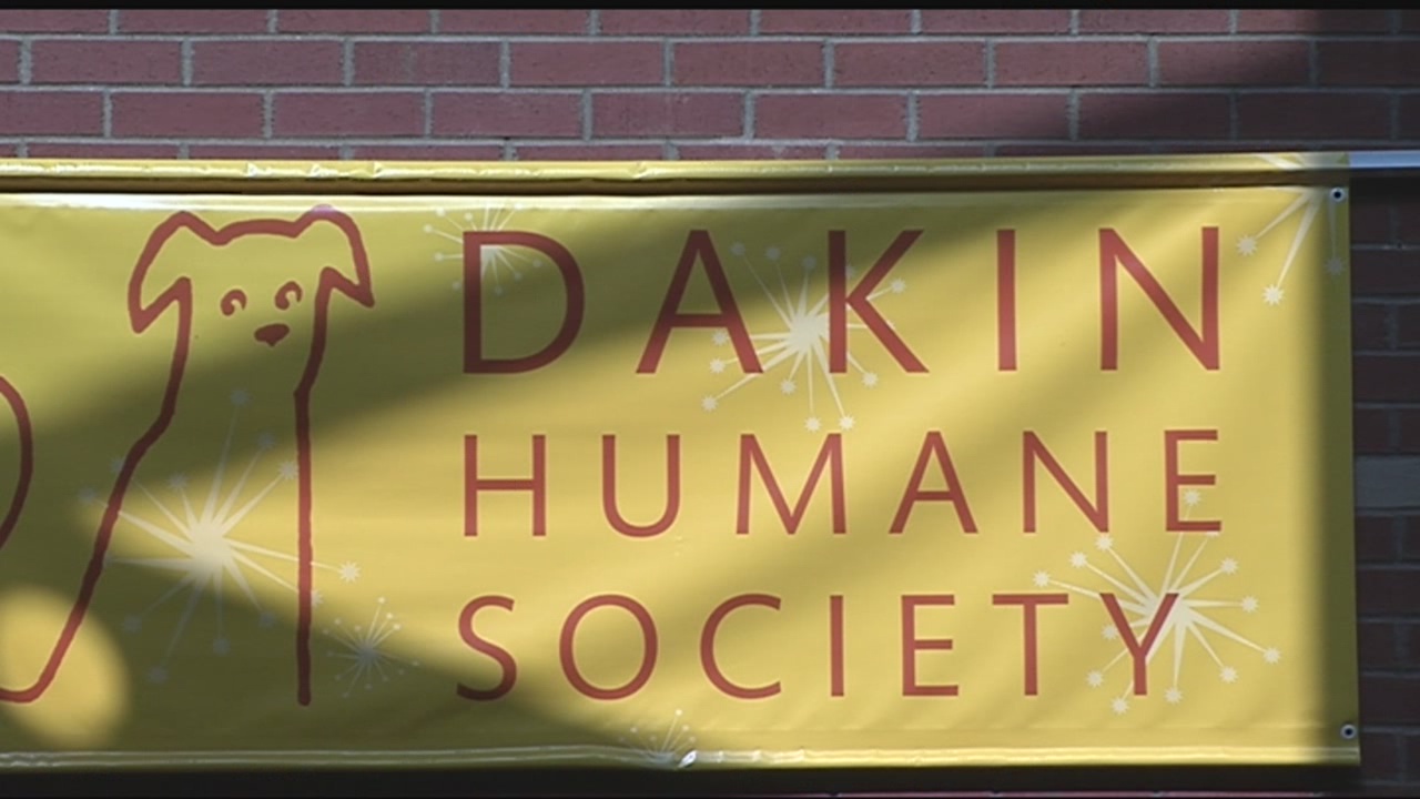 Dakin Humane Society receives $250K to create new pet health center – WWLP.com