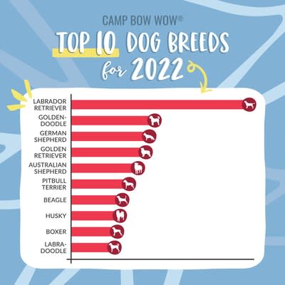 CAMP BOW WOW® RELEASES THE TOP DOG BREEDS FOR 2022 – Yahoo Finance