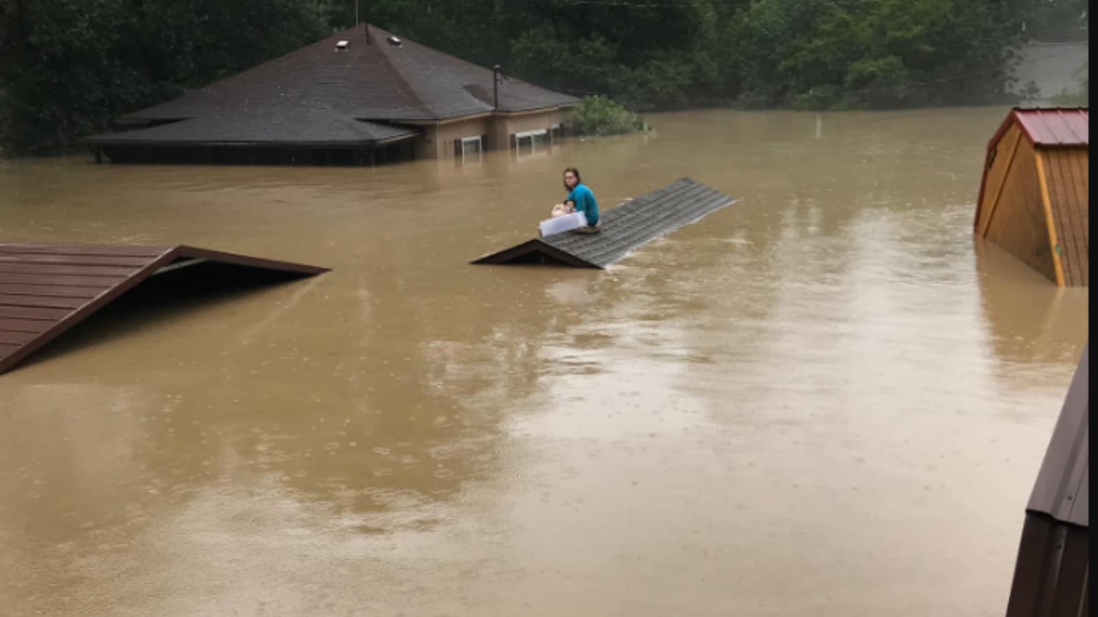 Kentucky Teen Swims to Rooftop to Save Pet Dog As Flood Drowns Half the US State – News18