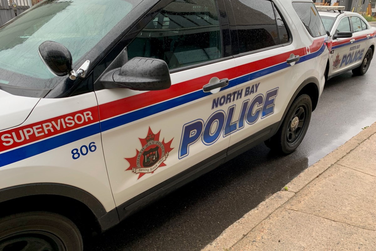 Attempted dog petting leads to attempted murder charges – BayToday.ca