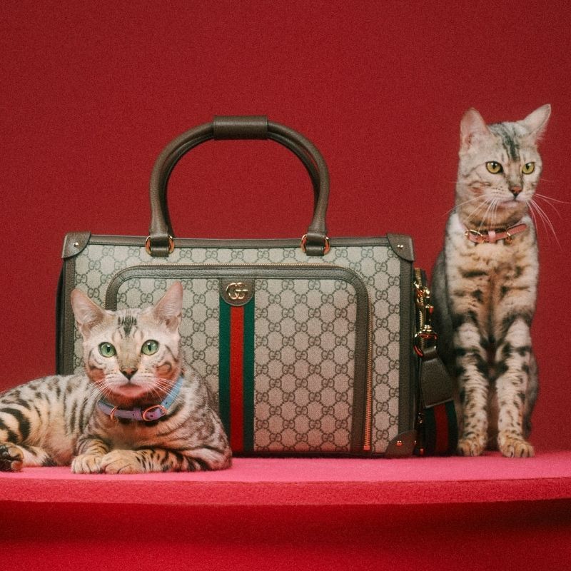 The poshest pet accessories to cop in 2022, from designer leashes to bowls – Prestige Online Malaysia