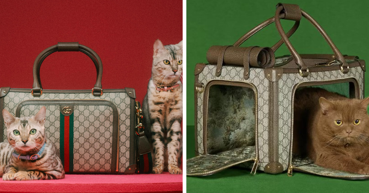 Gucci Released A Fancy Clothing And Accessories Line, And It's Lavish – Bored Panda