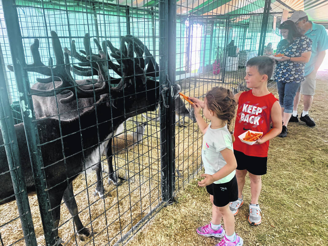 Getting close to exotic animals at the fair – LimaOhio.com – LimaOhio.com