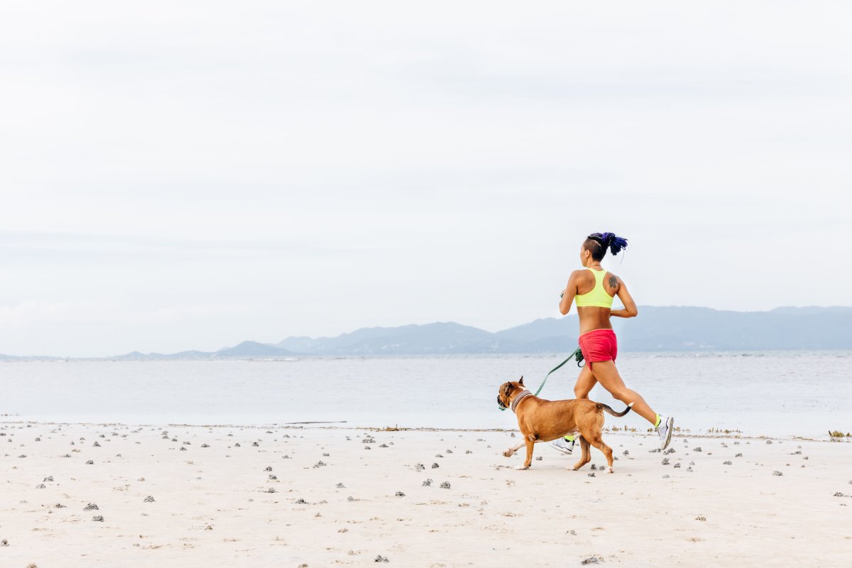 Our Dogs Deserve The Best, But So Does The Planet—How To Feed Your Pup Sustainably – mindbodygreen