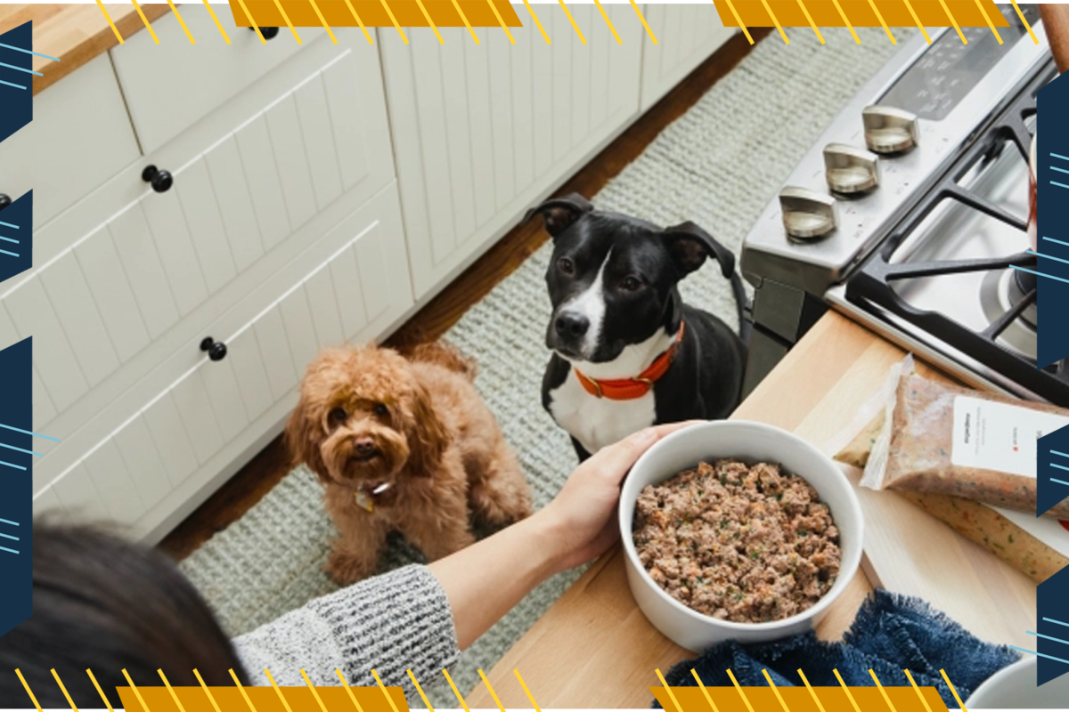 These Healthy Dog Foods Are Vet-Approved to Keep Your Pup in Peak Shape – AOL