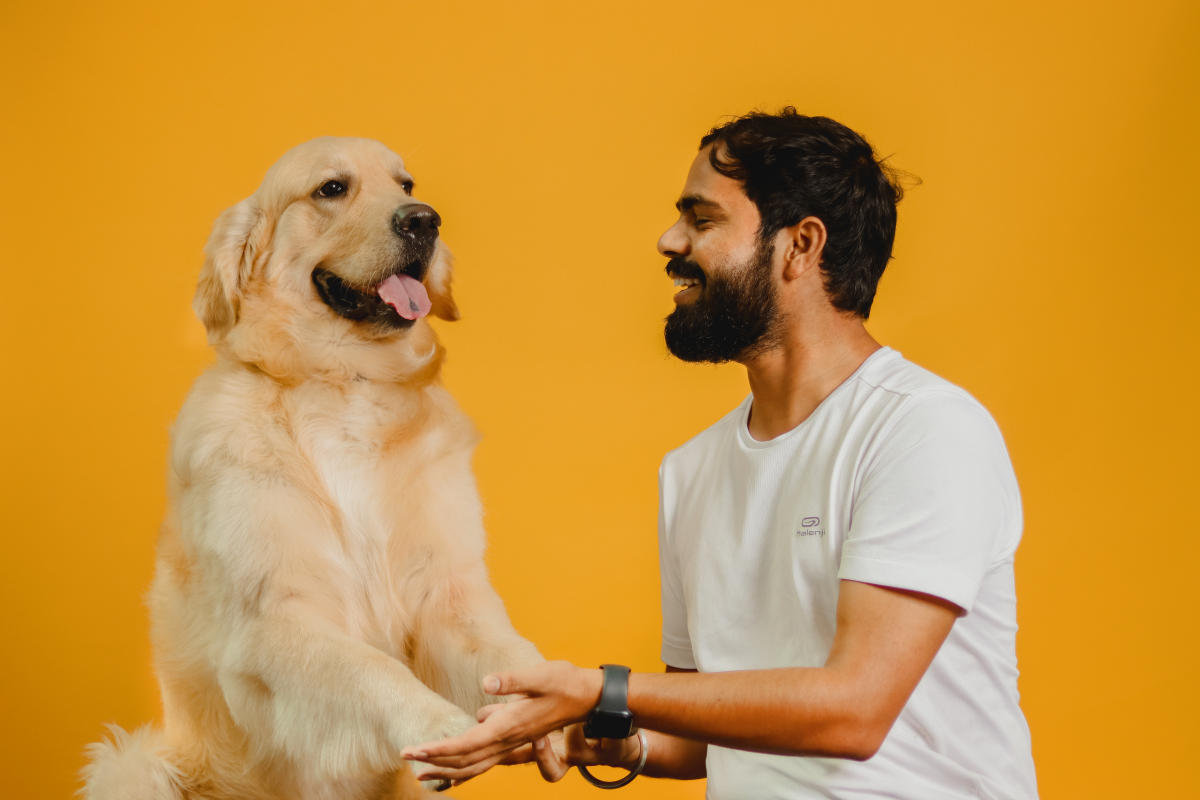 Bengalureans are turning their dogs into influencers – Deccan Herald