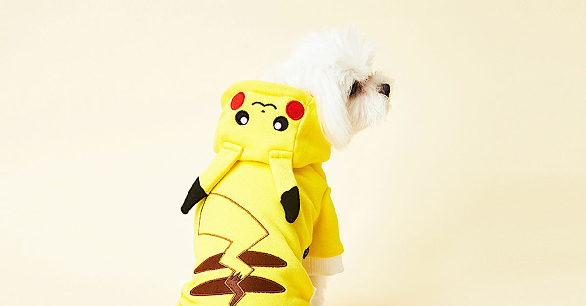 Here's a cute line of Pokémon clothes, for dogs – Polygon