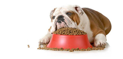 Saudi Arabia Dog Food Market Segmentation, Size, Business Strategy and Regional Analysis by 2027 – Digital Journal