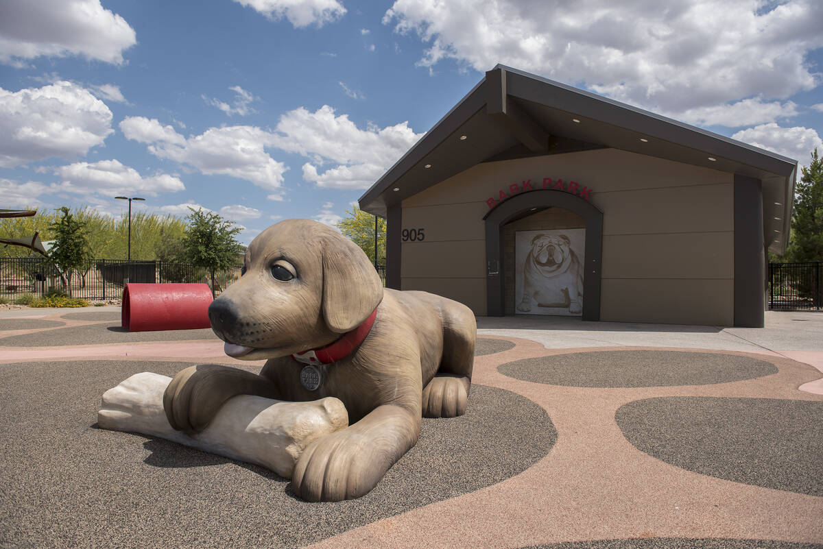 Celebrate International Dog Day in the Las Vegas Valley with these 9 spots – Las Vegas Review-Journal