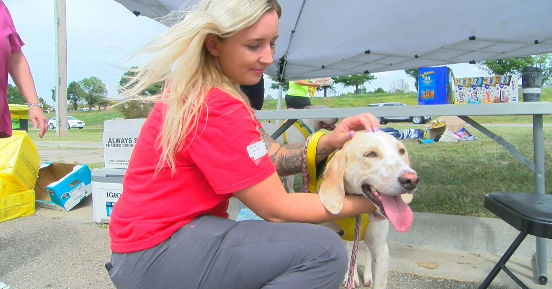 Nearly 100 pets find new homes at adoption event – KQ2.com