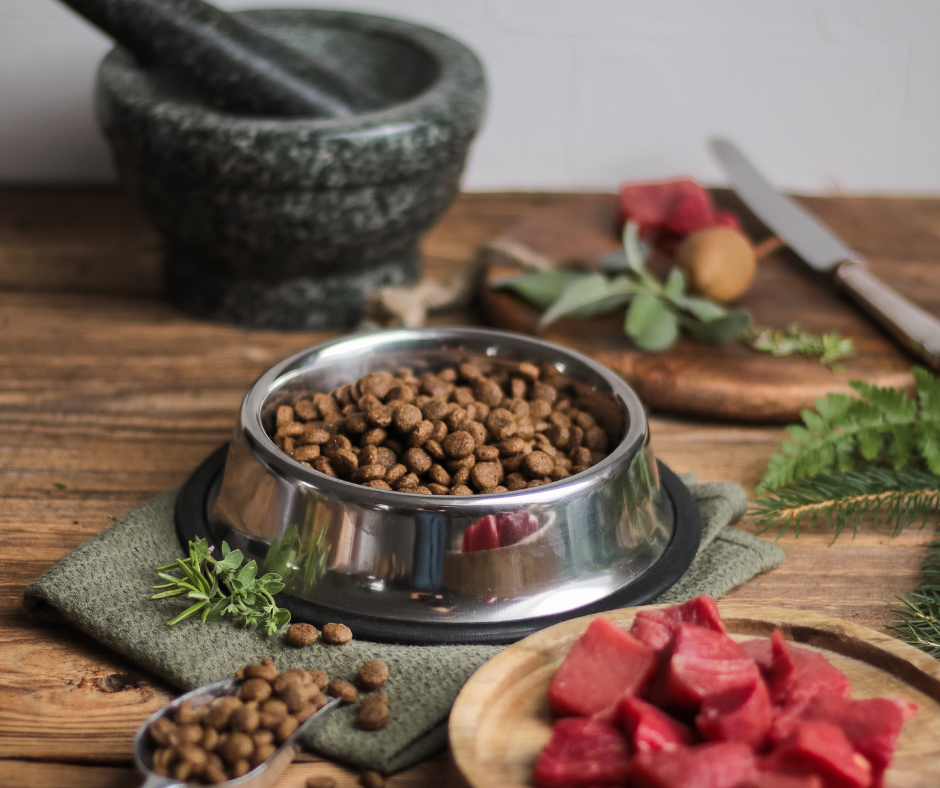 20 Best Fresh Dog Foods in 2022 – DISCOVER Magazine