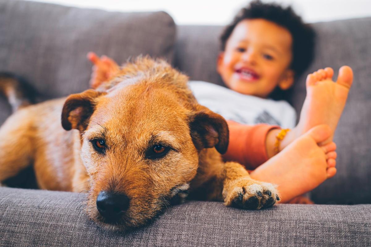 Growing Up With a Dog Can Can Be Good for Children's Health and Happiness, Studies Find – Yahoo Life