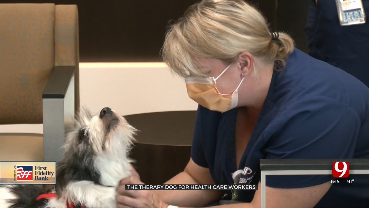 Working Dog: Furry Friend Helps Relieve Stress For Metro Caregivers – news9.com KWTV