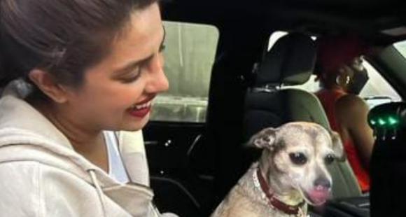 Priyanka Chopra wishes her pet dog Diana on birthday with the sweetest note: We are so lucky to have you – PINKVILLA