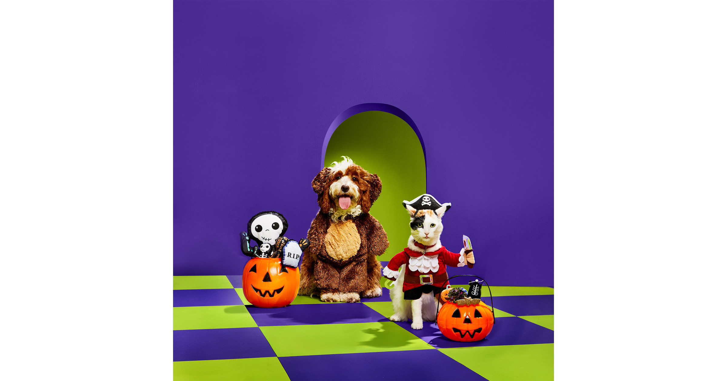 Petco Unveils Annual "Bootique" Collection with Expanded Halloween Offerings, New Night Safety Gear from Reddy – PR Newswire