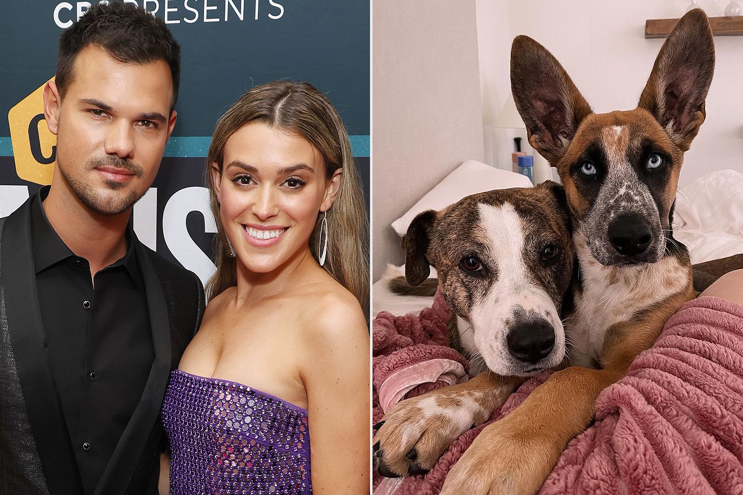 Taylor Lautner Will Include His 2 Rescue Pups in Wedding to Taylor Dome – PEOPLE