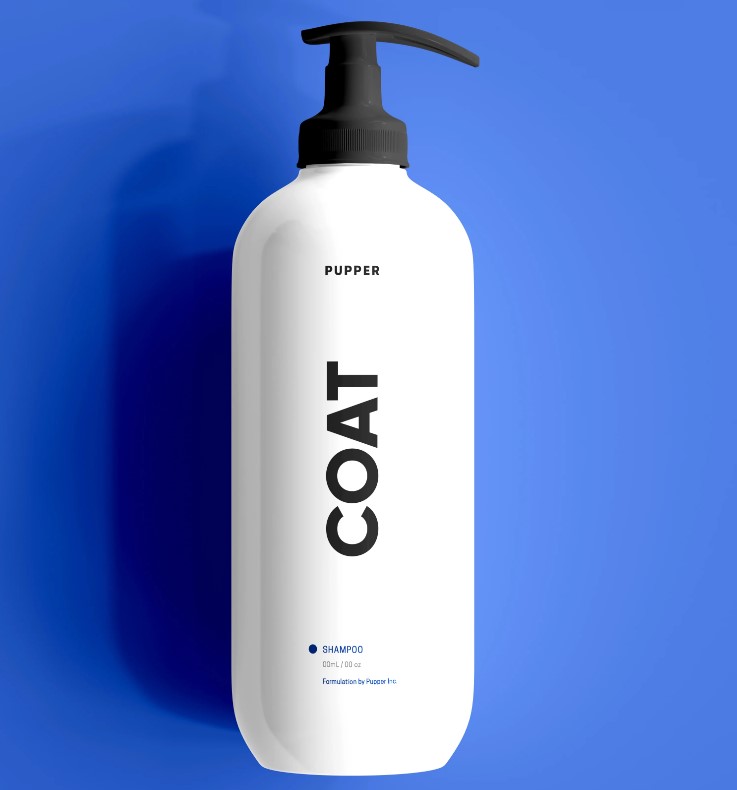 10 Best Dog Shampoos for Odor in 2022 – DISCOVER Magazine