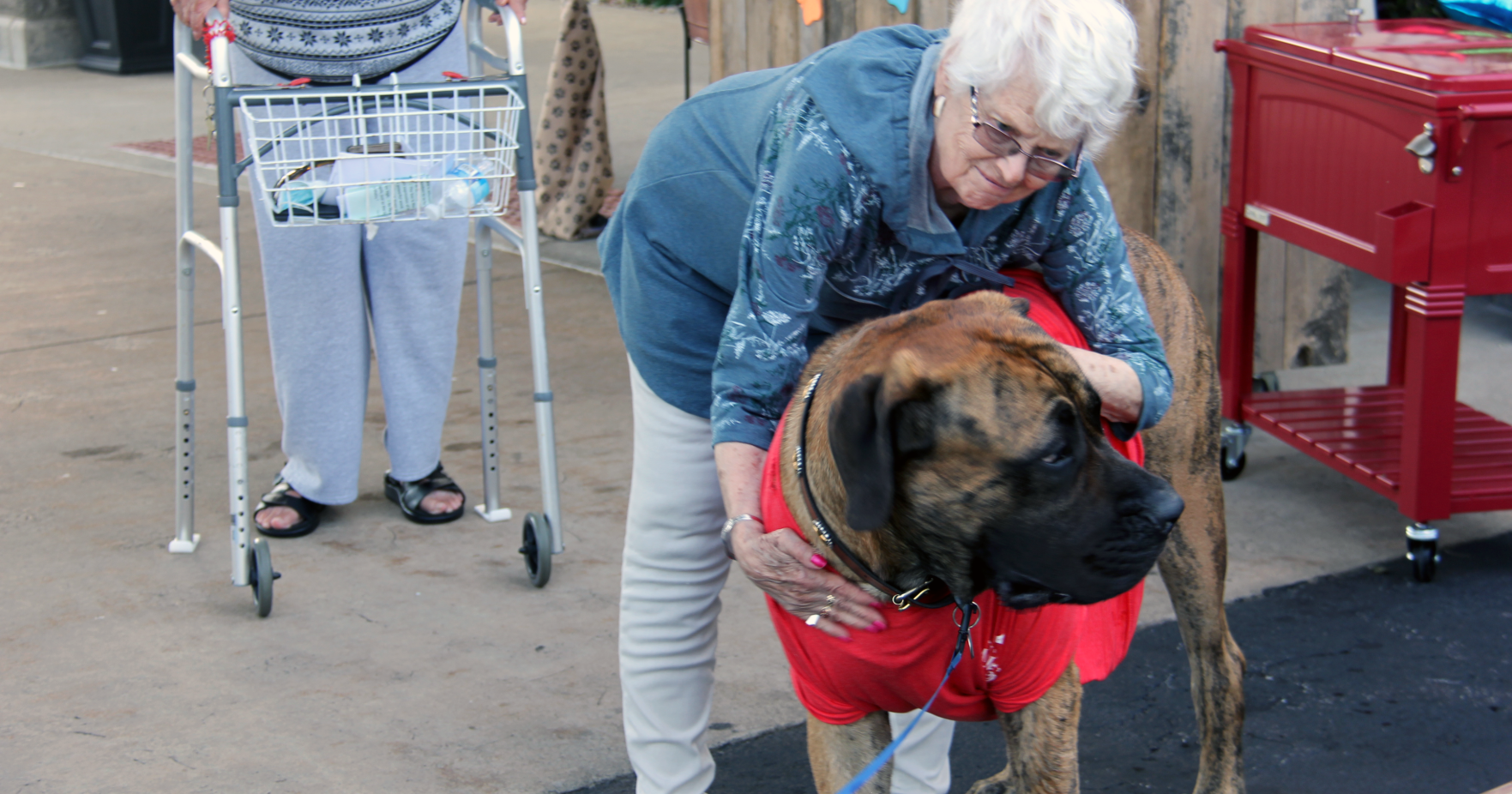 The Inn at Ashland Woods hosts dog-themed "Mutt Strut" event – Ashland Source