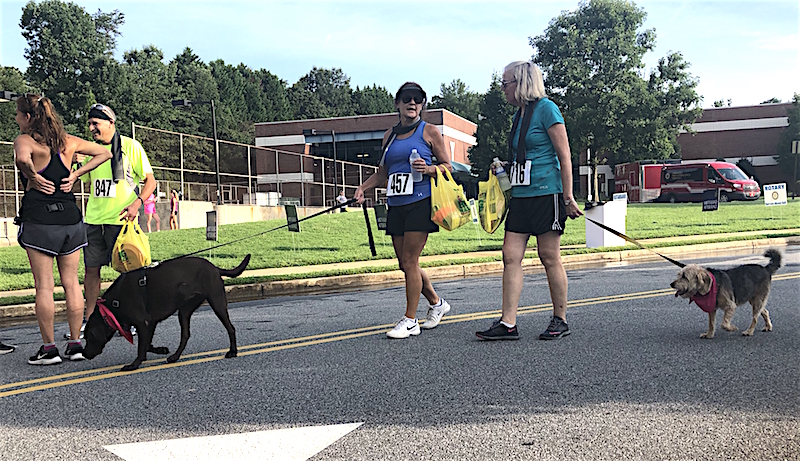 East Cobb Weekend Event: Fun Runs; Health Fair; more – East Cobb News