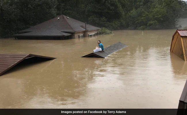 Heroic Teen Saves Dog Caught in Flood – DogTime