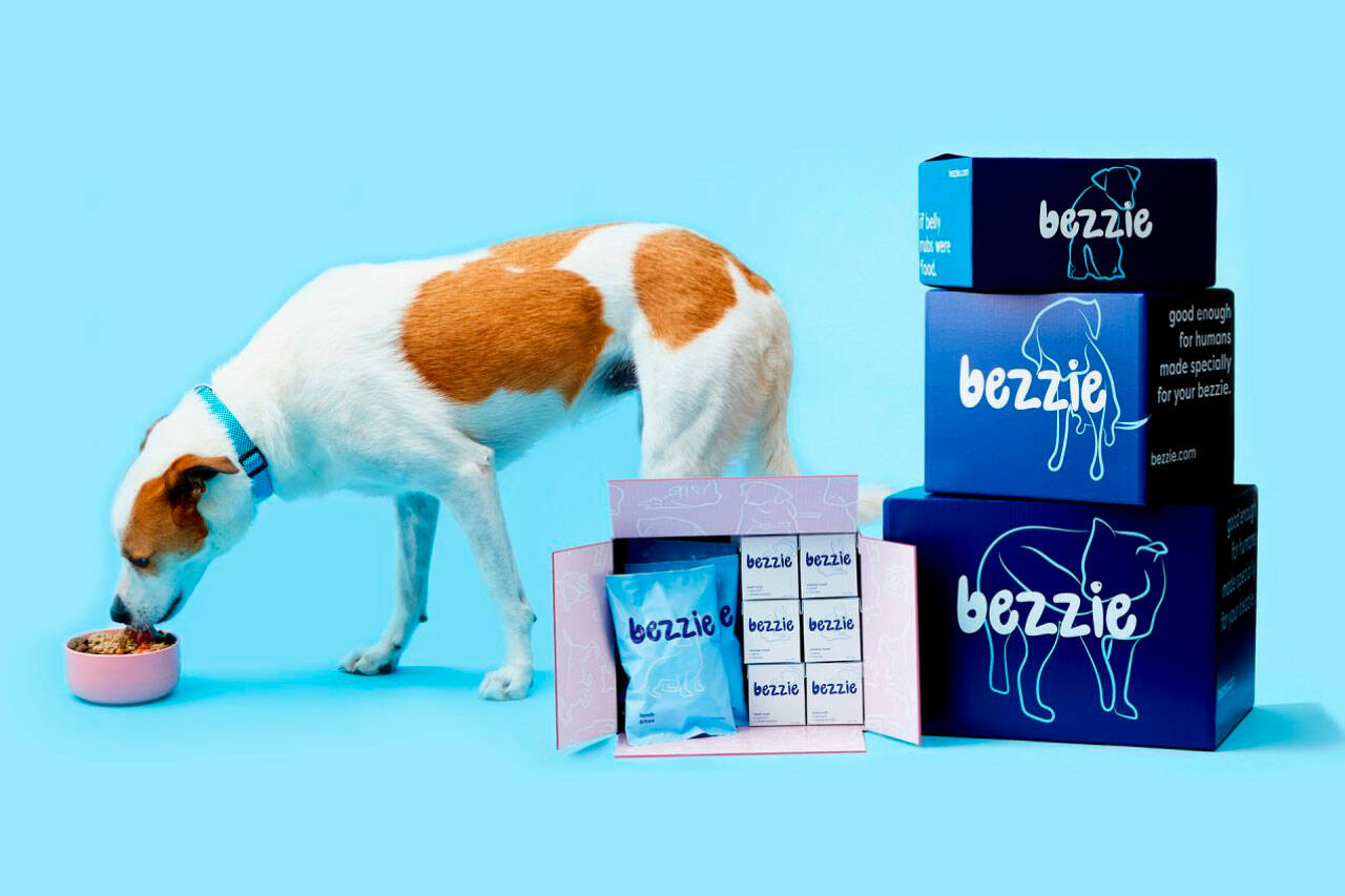 Bezzie Reviews – Is the Dog Food Delivery Meal Plan Worth It? – The Daily World