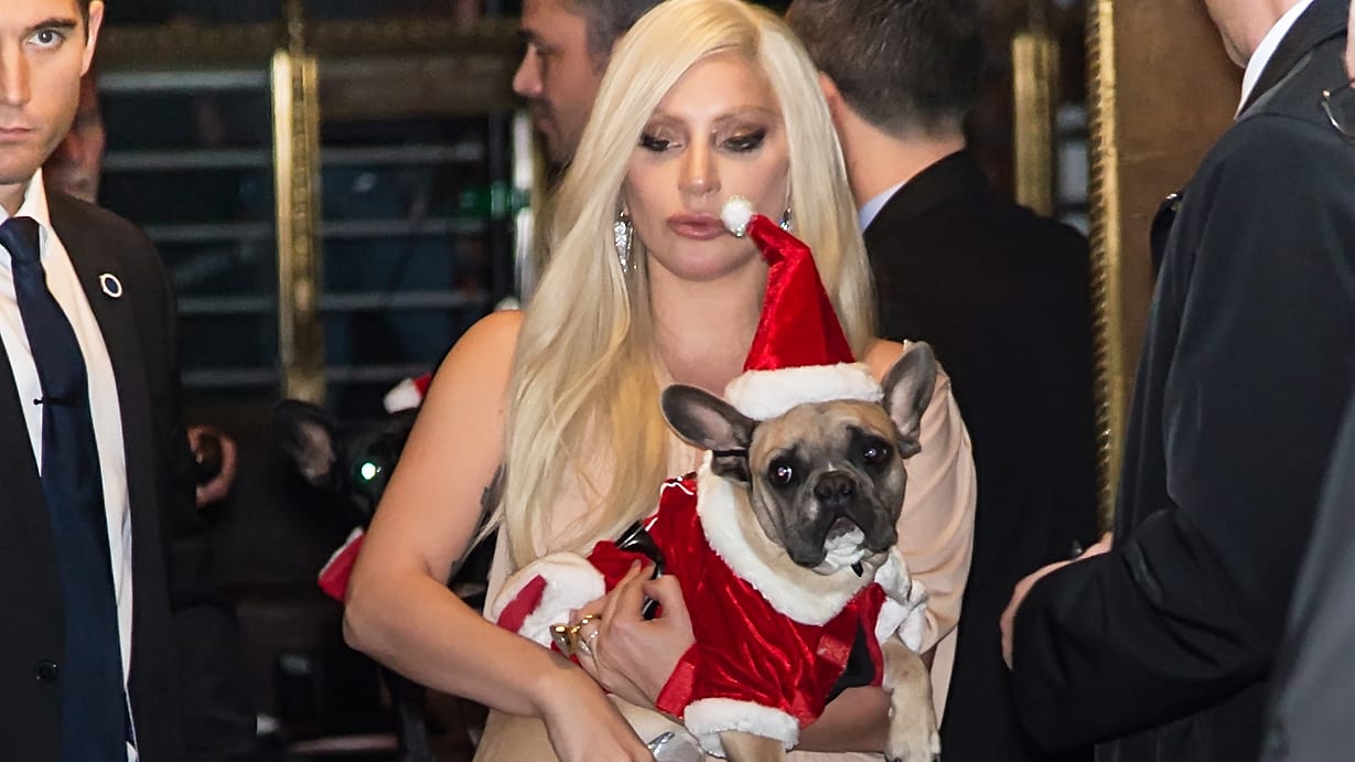 Teen Accused of Shooting Gaga's Dog Walker Recaptured After Four Months – The Daily Beast