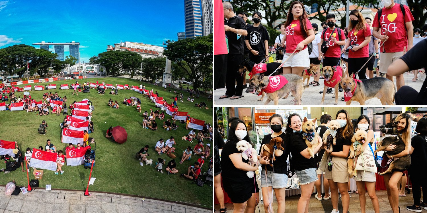 Over 300 Animals Walk Into S’pore Book Of Records For Largest Pet Formation Near Promenade On 6 Aug – MS News