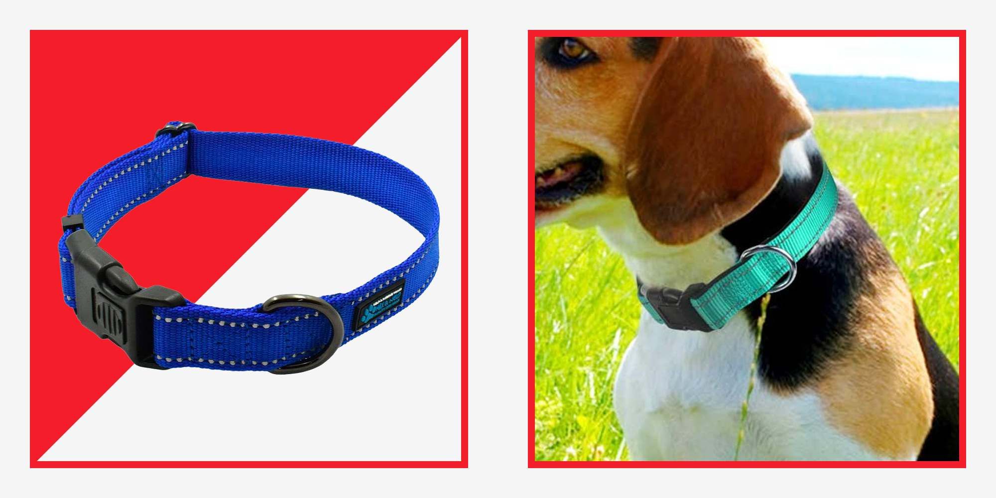 The 7 Best Dog Collars of 2022, Selected by Experts – Men's Health