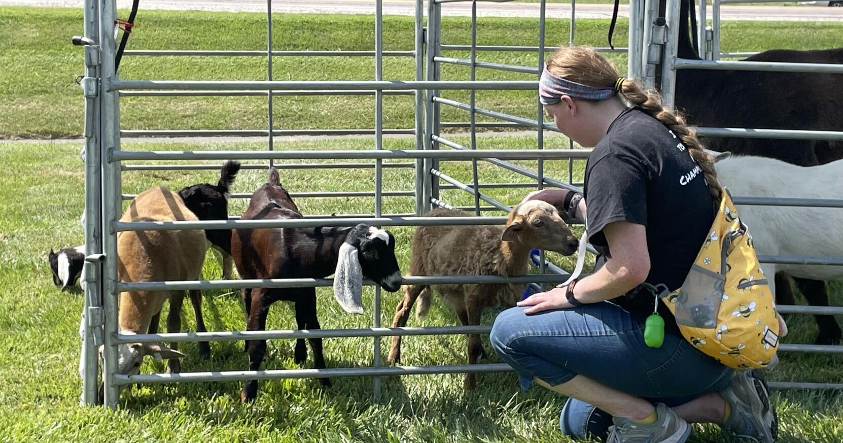 UPCO pet store celebrates 70 years of business | Local News | newspressnow.com – News-Press Now