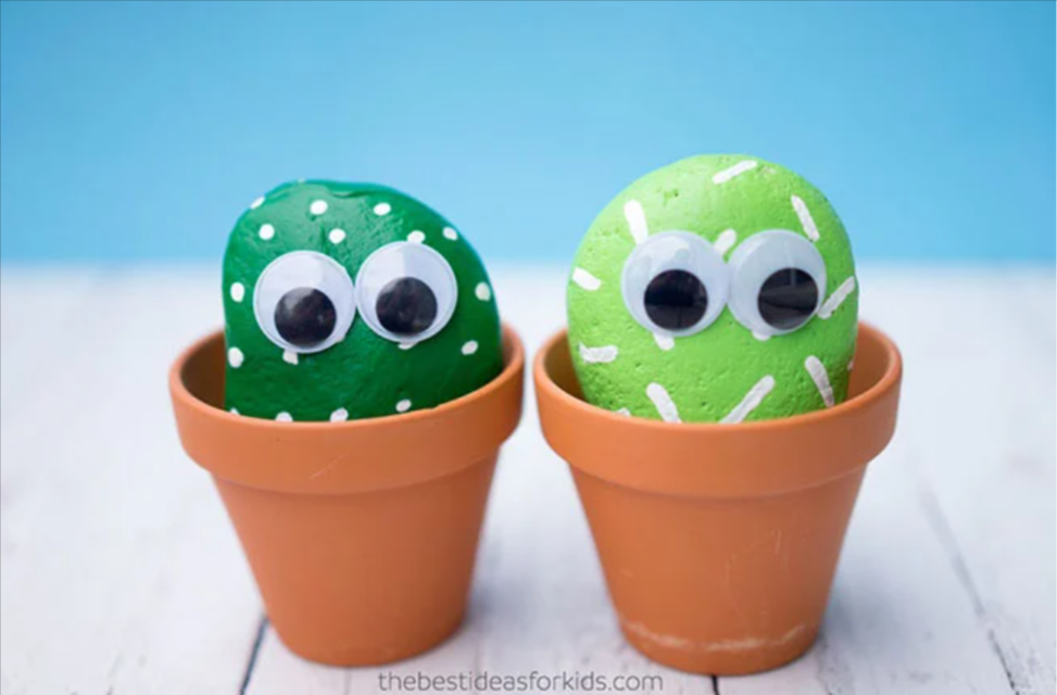 Help your child make their own pet cactus rock – Bedfordview & Edenvale News