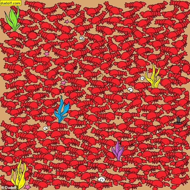 Can YOU spot the four hidden crabs in this seek-and-find puzzle? – Vigour Times