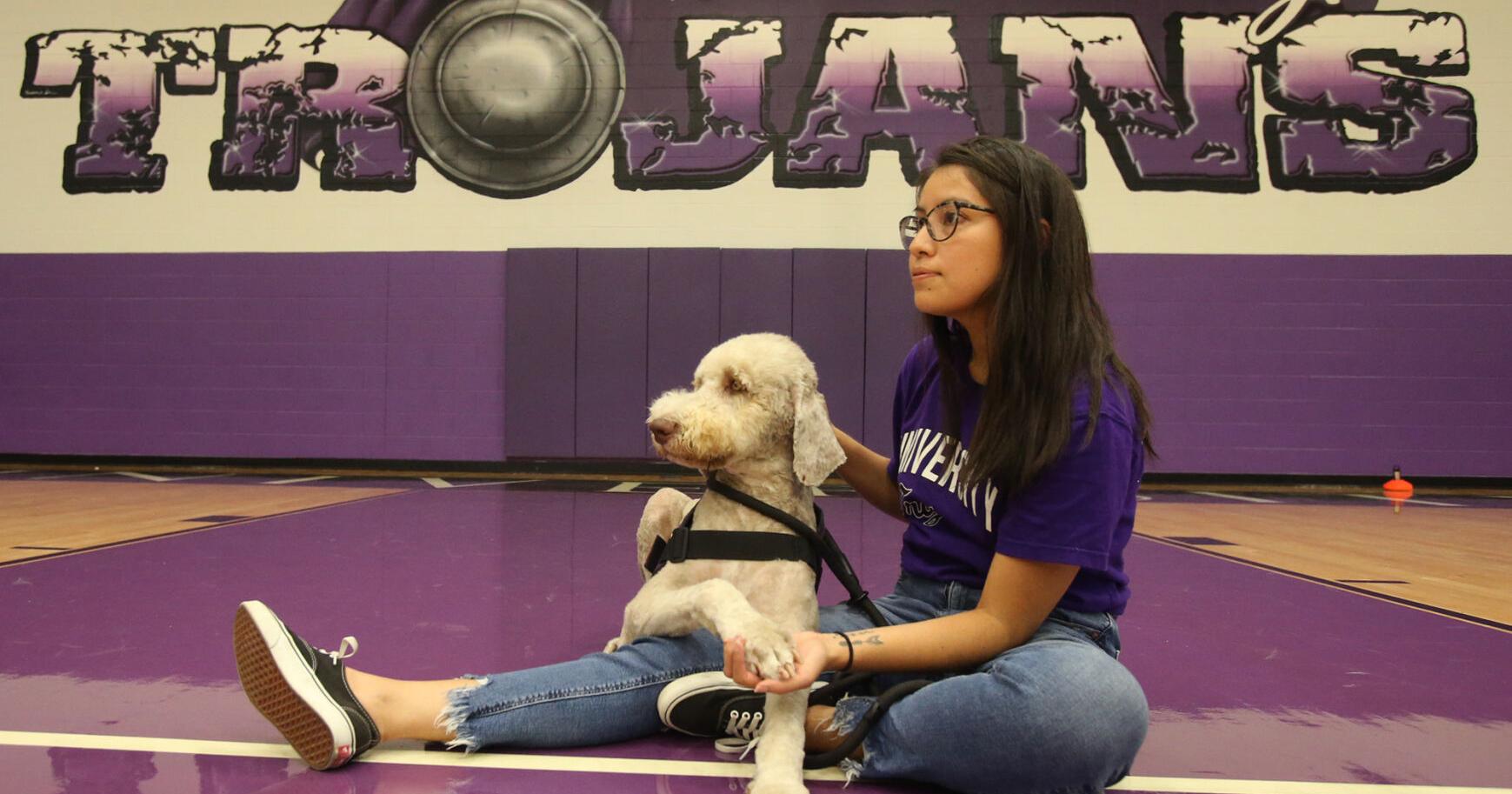 Emotional support dog joins University High student resources – Waco Tribune-Herald