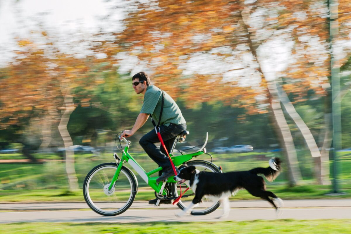 Can You Ride A Bike With Your Dog? – The Epoch Times