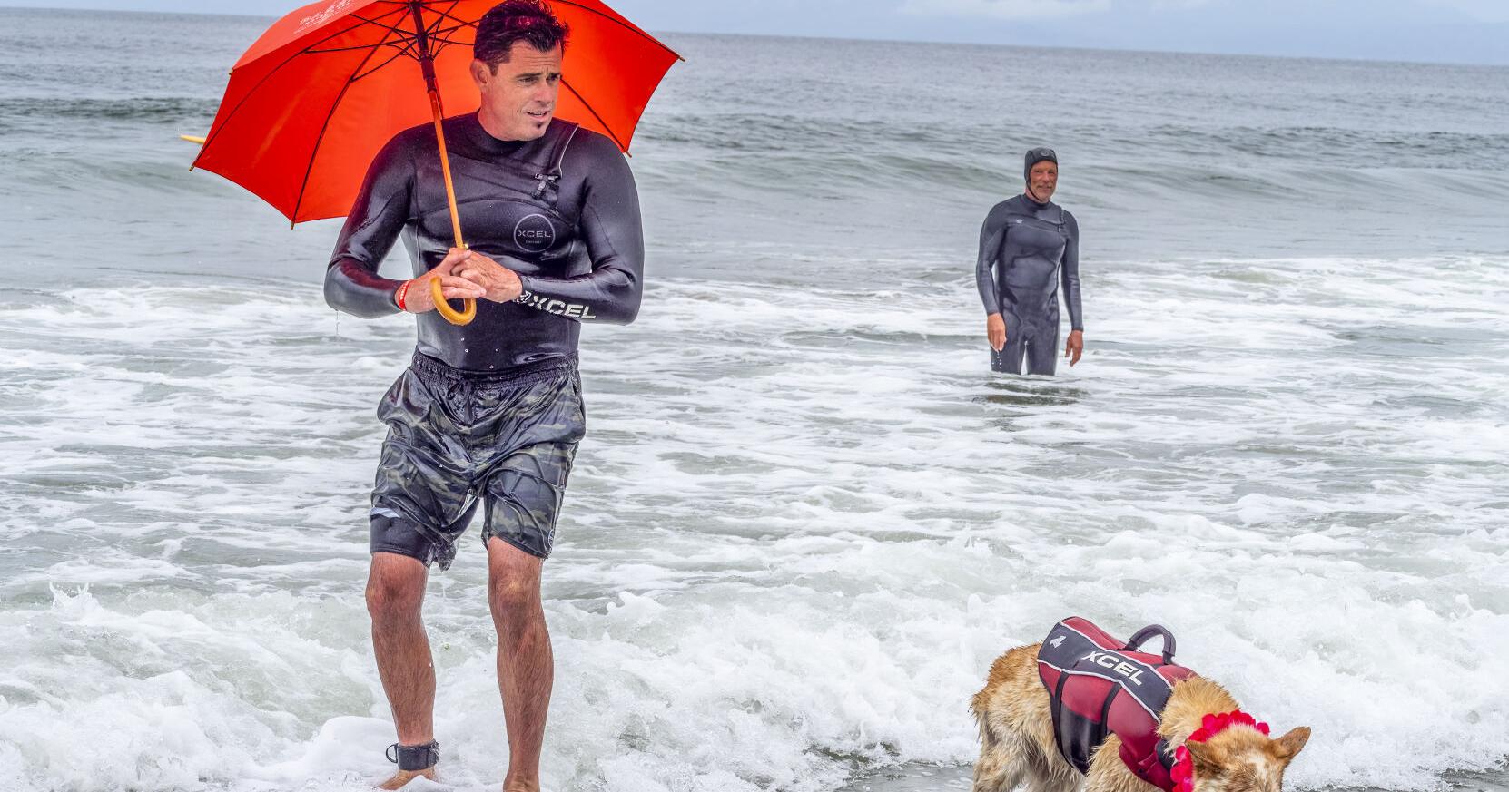 Dogs on surfboards dazzled thousands in Pacifica | Fanfare | sfexaminer.com – San Francisco Examiner