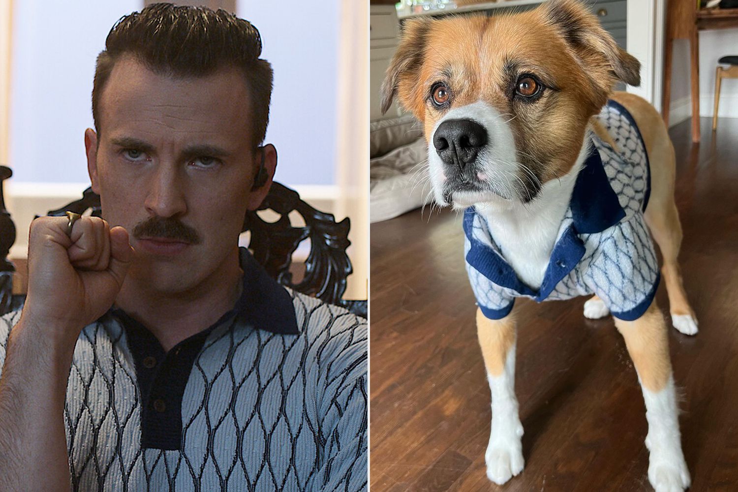 Chris Evans' Dog Dodger Gets His Own Shirt from 'The Gray Man' Set to Match His Celebrity Dad – PEOPLE