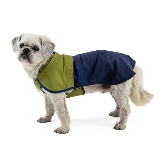 The Best Winter Jackets and Raincoats for Dogs for 2022 – National Today