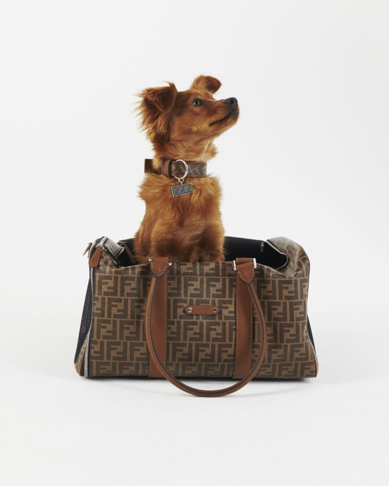 Celebrate National Dog Day with Chic Gifts for Your Favourite Pup – FASHION Magazine